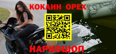 индика Пенза