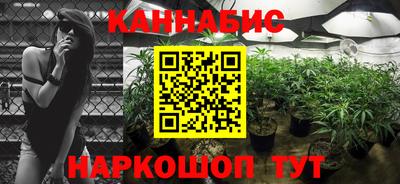 индика Пенза