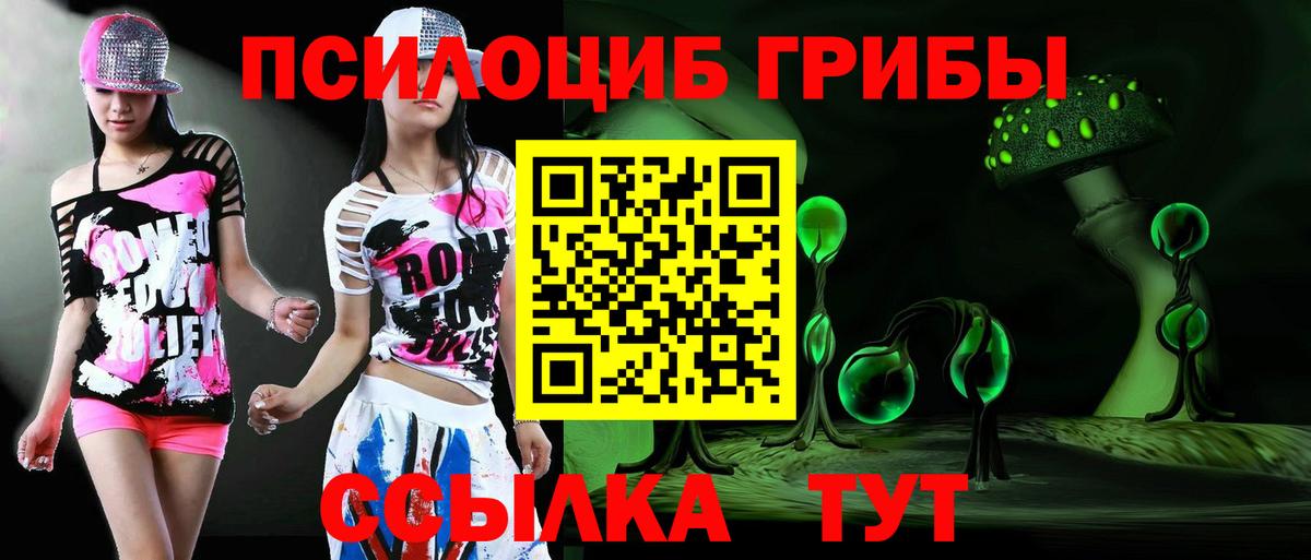 Полысаево  Галлюциногенные грибы Psilocybe  Вход с VPN 