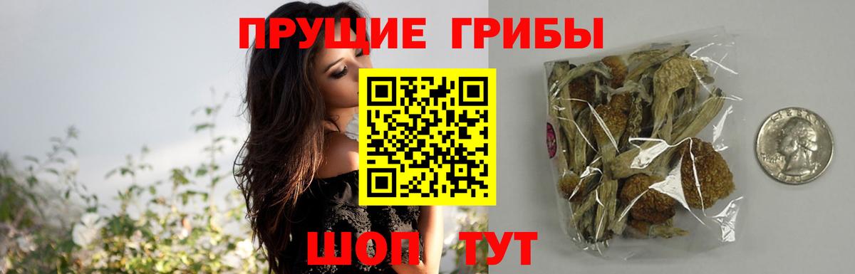 Псилоцибиновые грибы прущие грибы Полысаево
